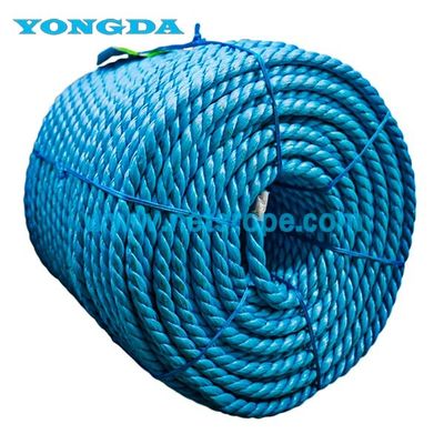 4mm 6mm 8mm PP Farm Rope Untuk Peternakan/Household/Bundling Fruit Trees/Bundling Crops